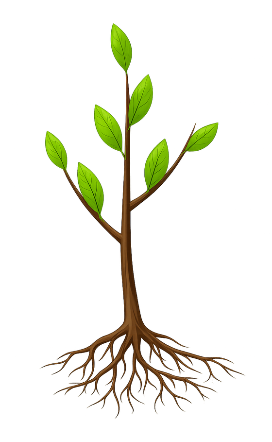 Illustrated sapling with visible roots